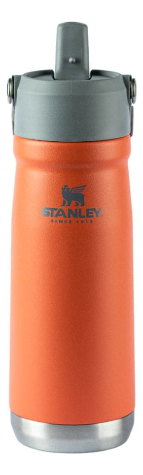 Garrafa Térmica Flip Straw Stanley Guava | 651ml