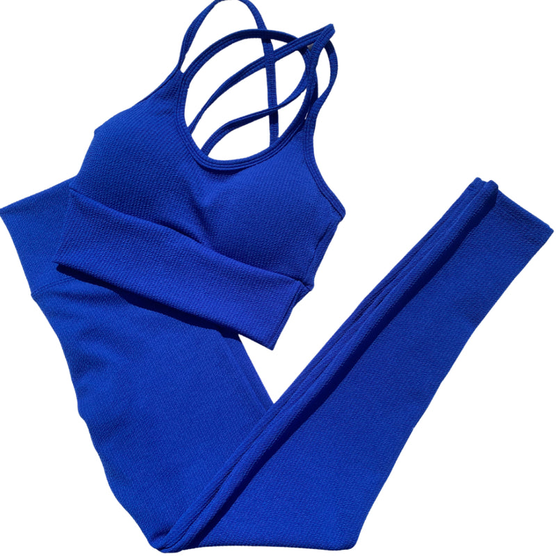 Conjunto Fitness Feminino Top e Calça Treino Perfeito Tecido Premium  Ana Ruga